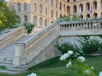 Economy Protocol Image