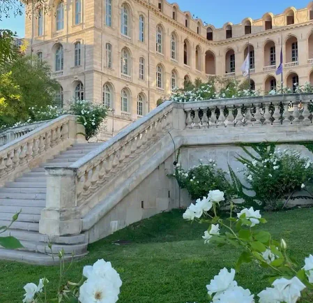 Bespoke Aviation & Transit